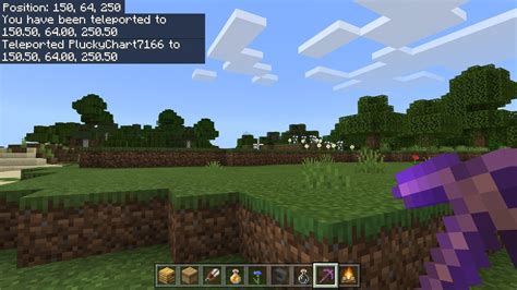 how to tp to your home in minecraft realms